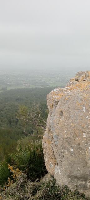 Die Aktivierung kann beginnen