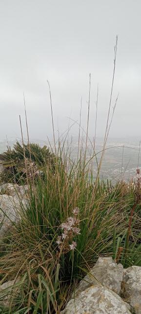 Blick Richtung Alcudia